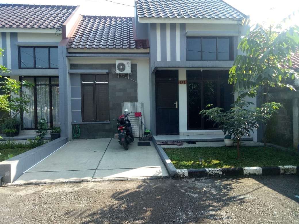 arillo real estate theme